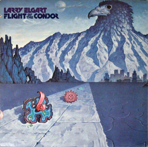 Flight Of The Condor