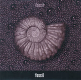 Fossil