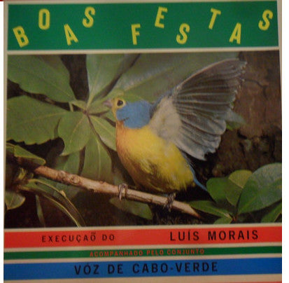 Boas Festas