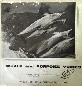 Whale And Porpoise Voices