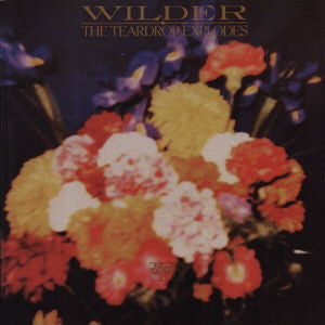 Wilder