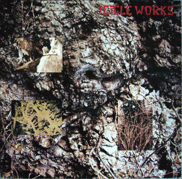 Icicle Works