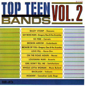 Top Teen Bands Vol. 2